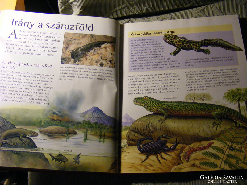 Dinosaurs and other ancient reptiles - chris mcnab 2007