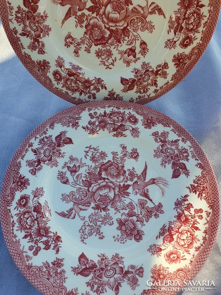English Firebird Small Plates