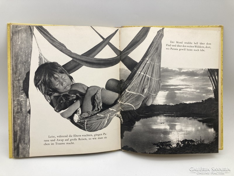 Parana: Dominique Darbois fotókönyve a Brazil dzsungelből, 1957 - ritka, gyűjtői