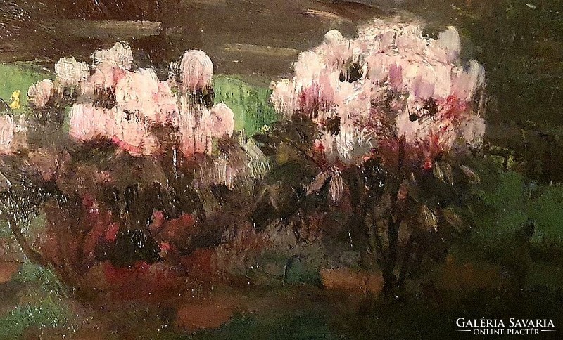 Jenő Kárpáthy (1870-1950): blooming in May