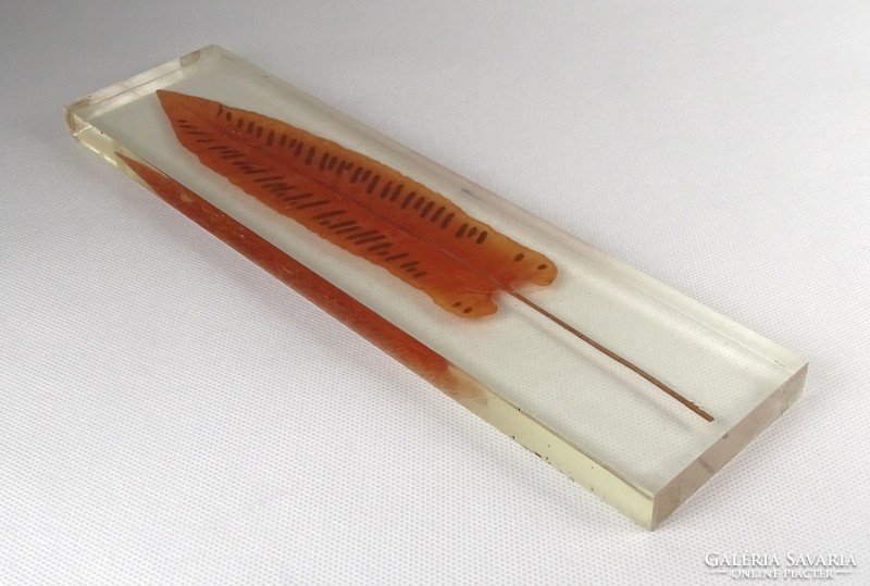 1N421 special spear-shaped pressed wood leaf in plexiglass 27.5 Cm