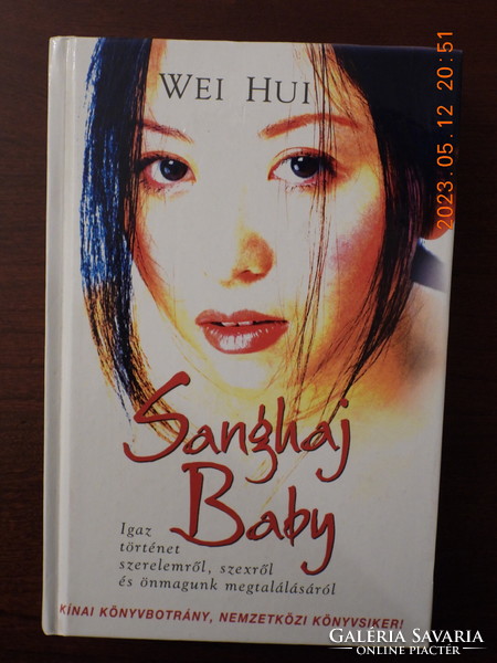 Wei Hui - Shanghai Baby (108)