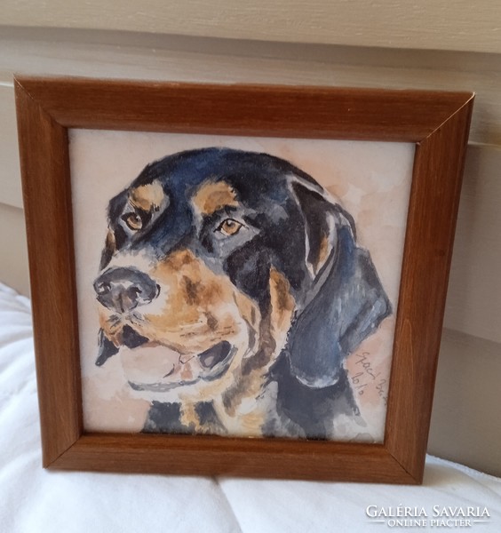 Transylvanian hound framed watercolor 10*10 cm