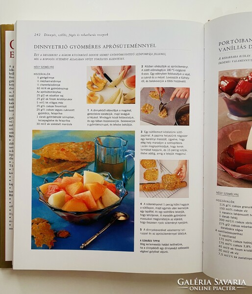 Fruit encyclopedia 256 pages, 30x24 cm beautiful color album
