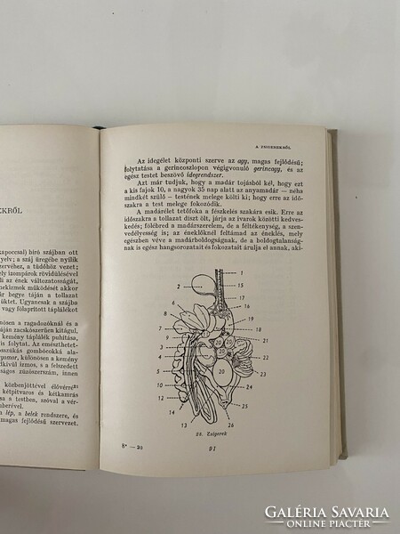 Herman Ottó A madarak hasznáról és káráról 1960 Gondolat Kiadó