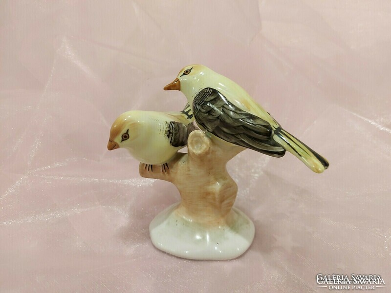Aquincumi porcelán,sárgarigó madár pár