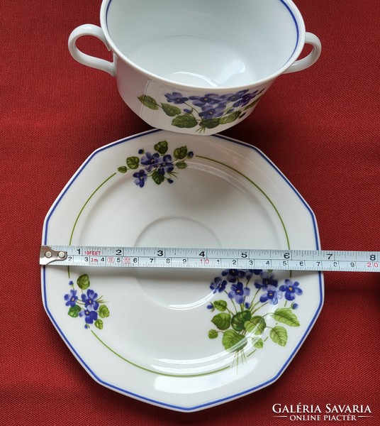 Winterling Marktleuthen Bavaria német porcelán leveses csésze kistányér csészealj tál ibolya virág