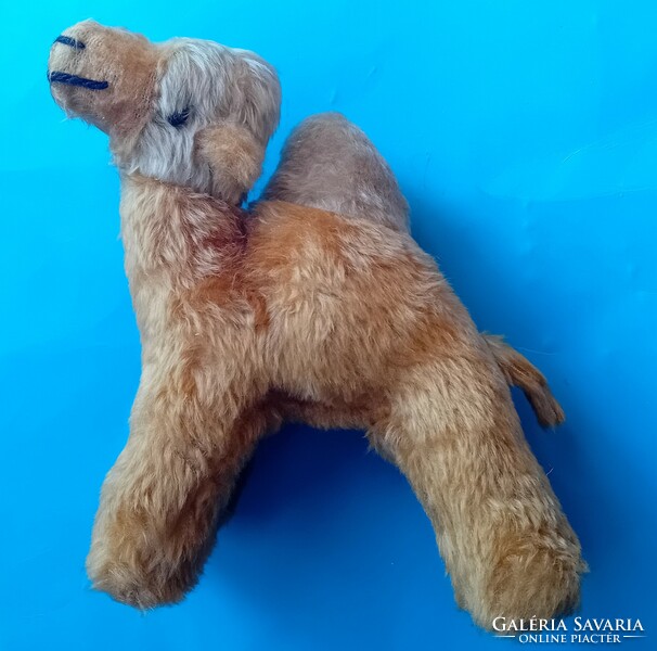 Plush one-humped camel