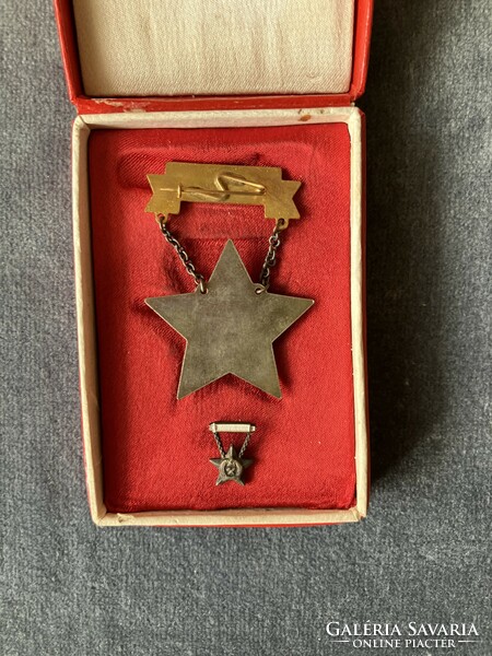 Excellent worker award Type 2 with miniature in box from the Cancer era