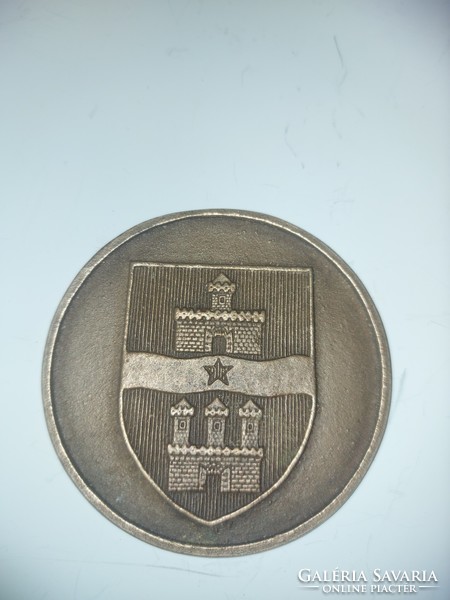 Unengraved Budapest bronze commemorative medal