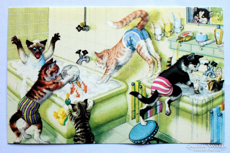 Humorous cat postcard - in the bathroom / newer edition