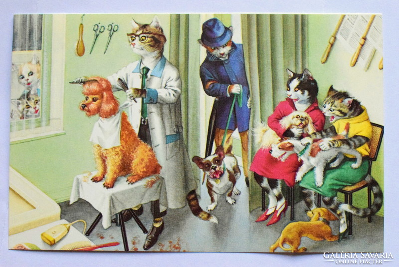 Humorous cat postcard - affair in the dog grooming / new edition