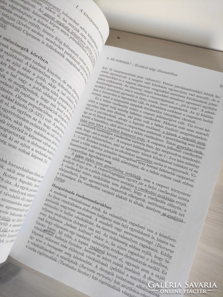 Kun Ádám Evolúcióbiológia tankönyv újszerű állapotban Typotex Kiadó