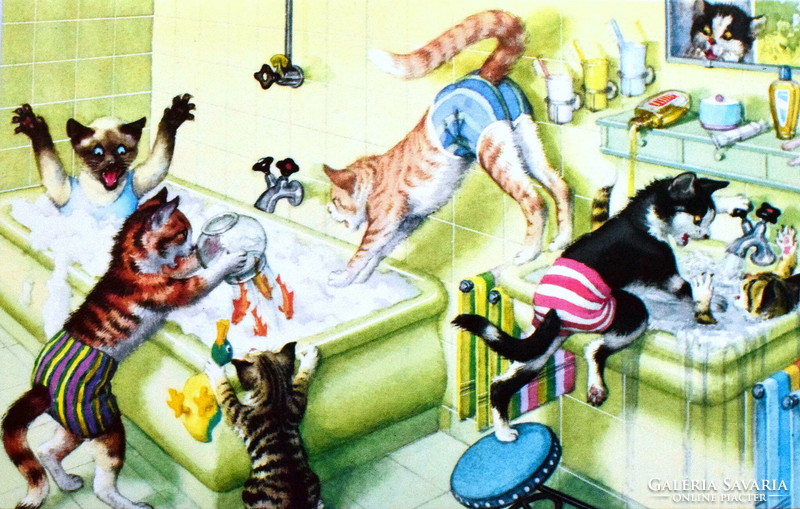 Humorous cat postcard - in the bathroom / newer edition