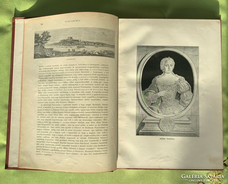 Pesti diary/ himfy album 1900 edition.