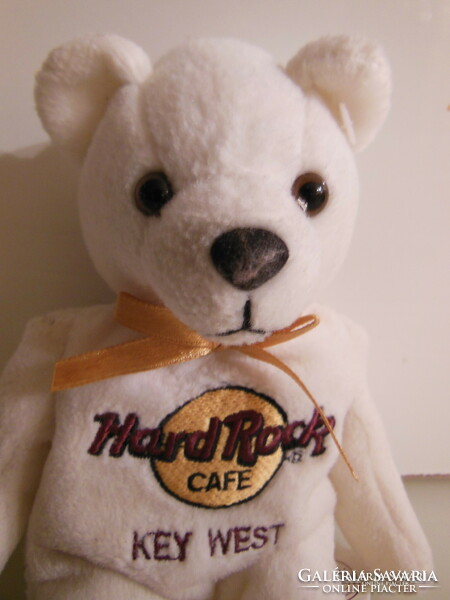 Teddy bear - 21 x 15 cm - hard rock cafe - herringtons - English - from collection - exclusive - flawless