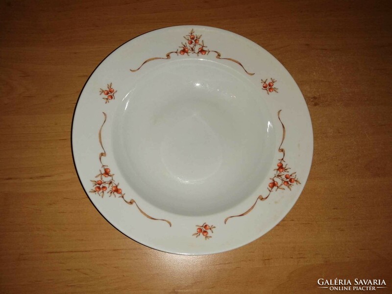 Alföldi porcelain deep plate with rose hips - 22 cm (2p)