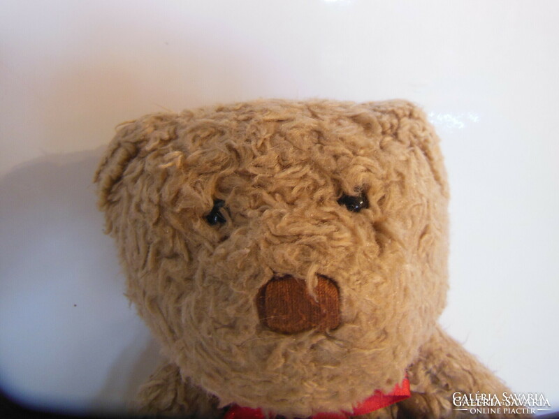 Teddy bear - 30 x 20 cm - English - marked - plush - from collection - exclusive - flawless