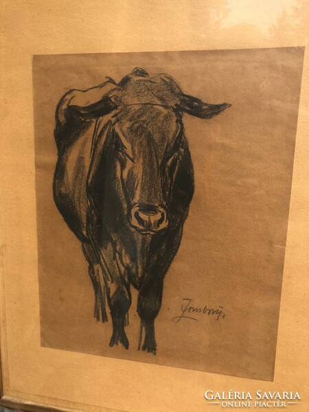 Louis Zombory: bull