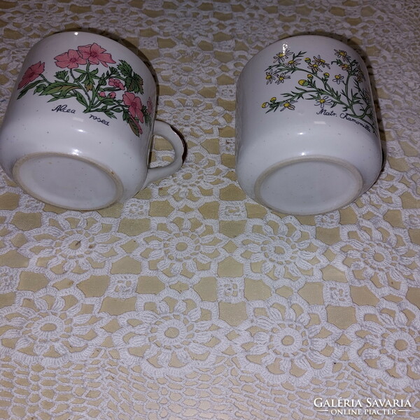 Herbal botanical mugs
