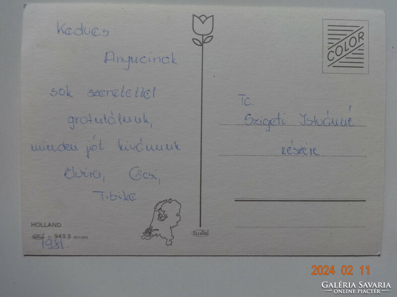 Régi grafikus holland üdvözlő képeslap (szélmalommal, tulipánokkal)