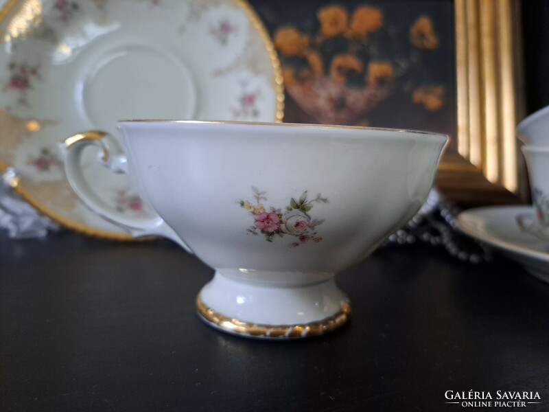 Bavaria johann haviland porcelain tea cup