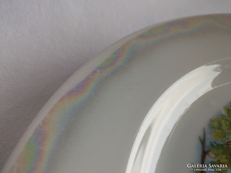 C.T. Altwasser jelenetes, irizáló szegélyes tányér 24,5cm