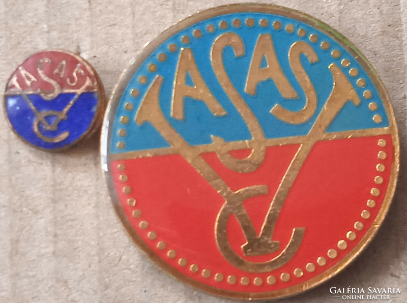 Vasas 2 different sports badges (v5)
