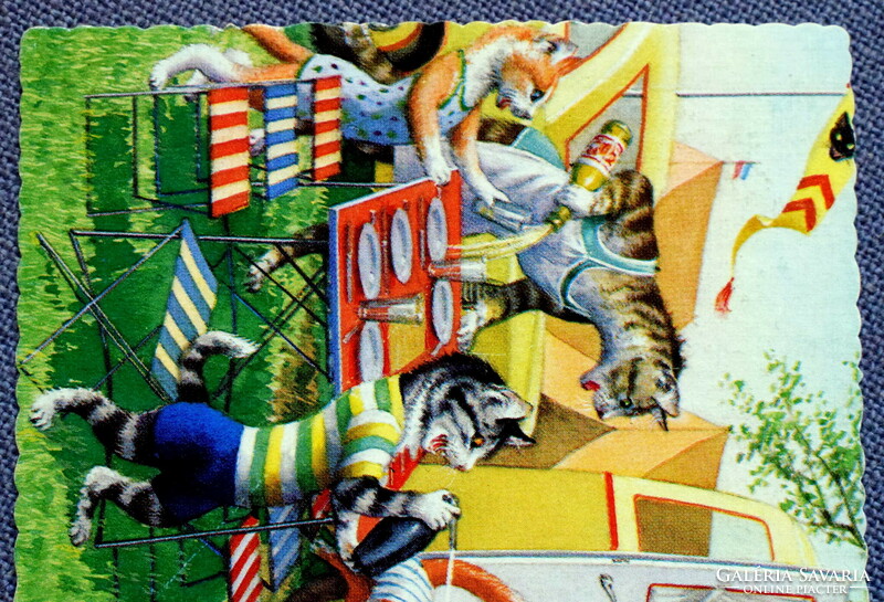 Retro humoros grafikus képeslap cica  - kempingben