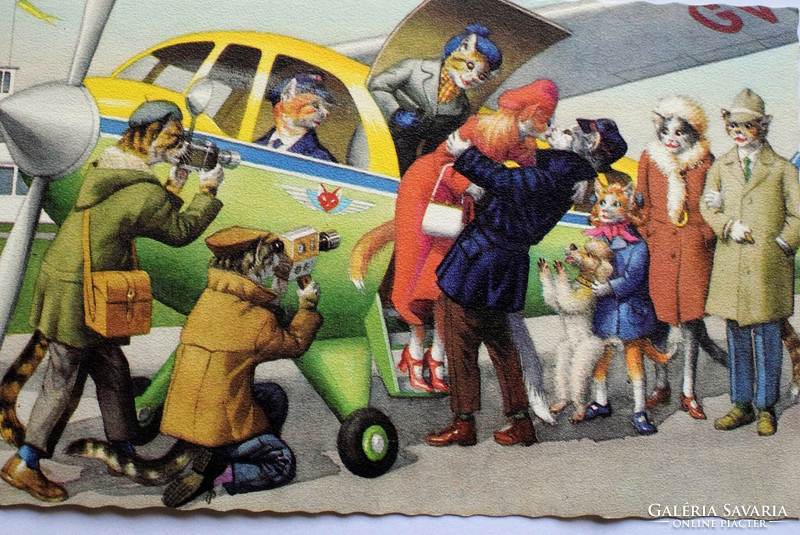 Régi retro humoros grafikus képeslap cica  - repülővel érkező szerelmes cicasztár