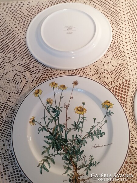 Villeroy and Boch Botanica tányérok  24 cm. Foglalva terezbacsi felhasználónak.