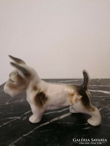 Skot terrier royal dux dog. A very rare collector's item