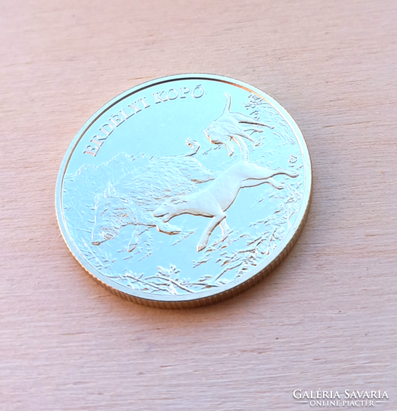 Transylvanian Hound 3000 forint coin::