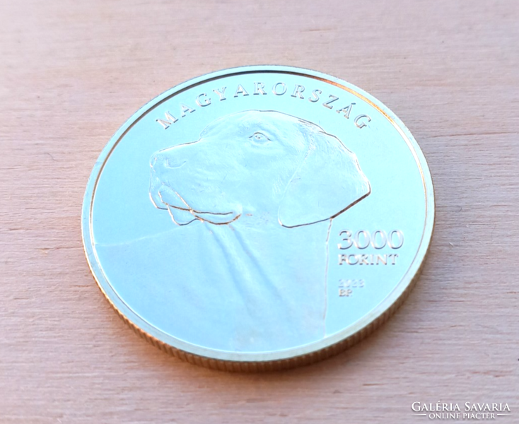 Transylvanian Hound 3000 forint coin::