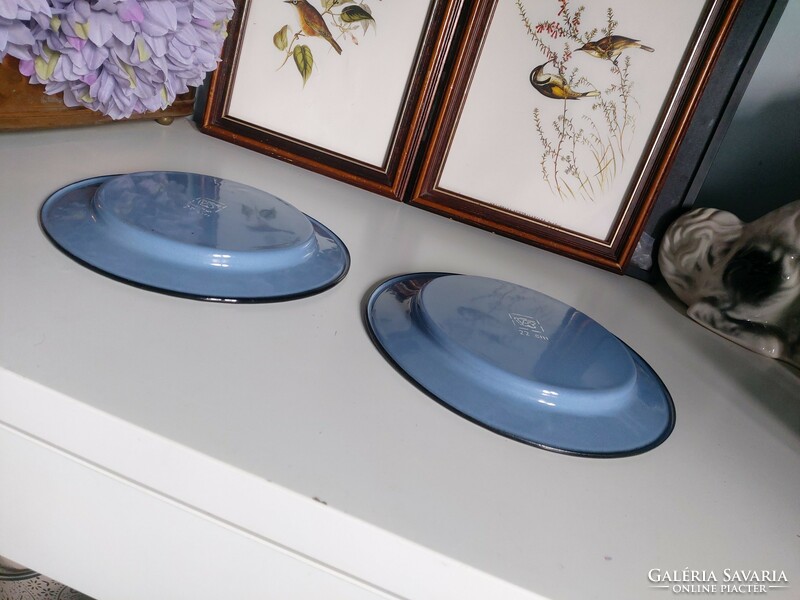 2 Enameled metal plates with a diameter of 22 cm