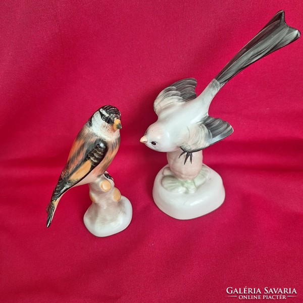 Aquincum porcelain bird, sparrowhawk and lark