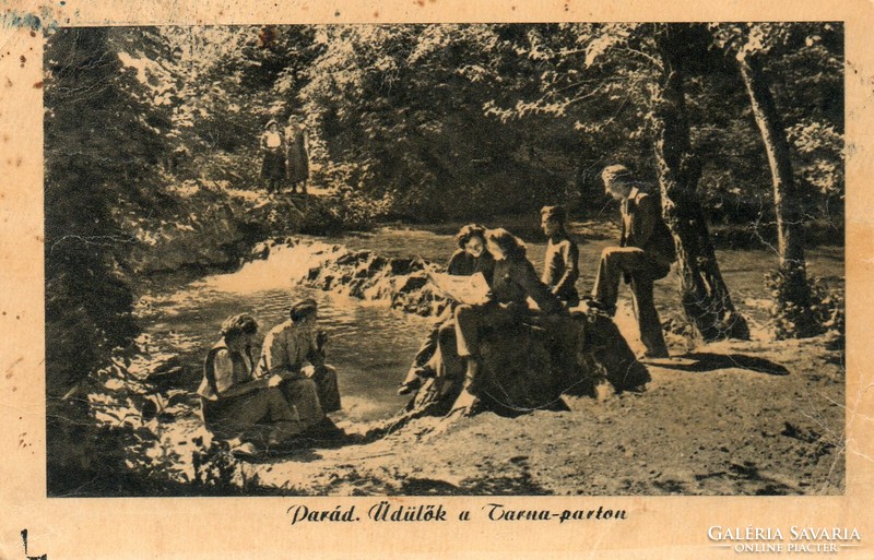 588 --- Futott képeslap   Parád - Tarna part