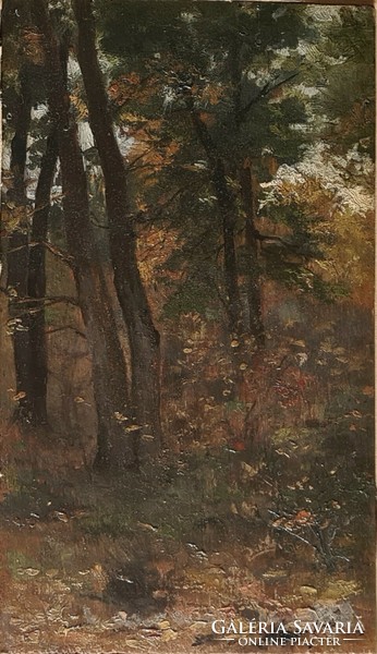 Celestine Pállya (1864 - 1948): forest fragment