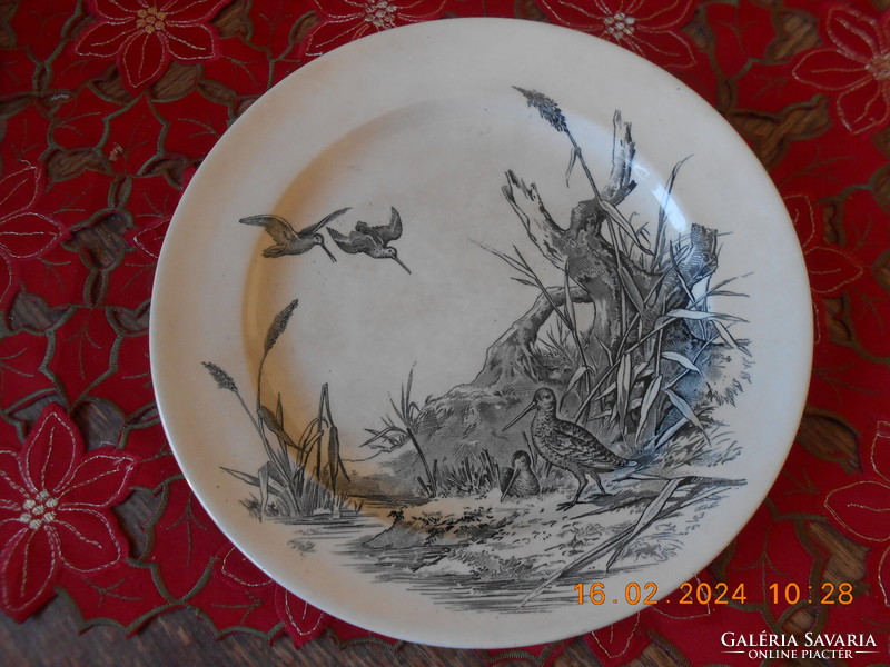 William Brownfield & Son Viktória korabeli angol fajansz tányér, 1875 I