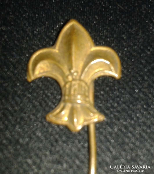 Scout badge Horthy age