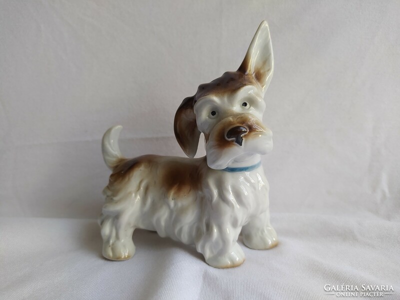 Tündéri álló fülű kutya porcelán