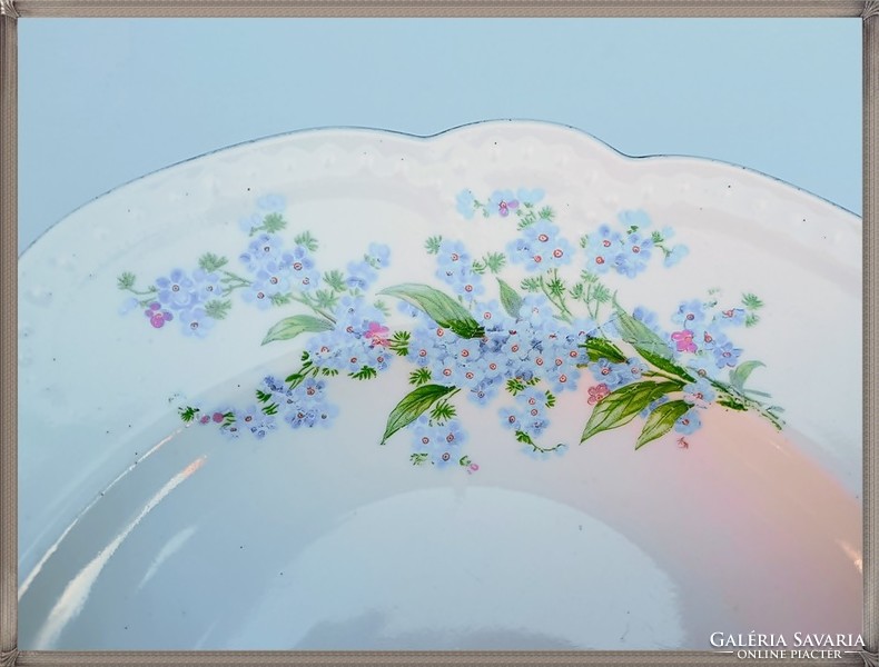 Zsolnay, porcelain wall plate with forget-me-not pattern, beaded rim