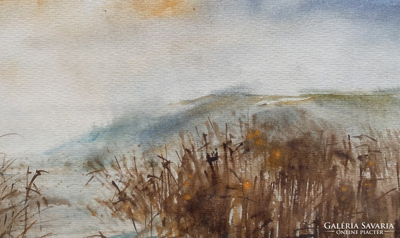 Bér rudolf: reeds - watercolor