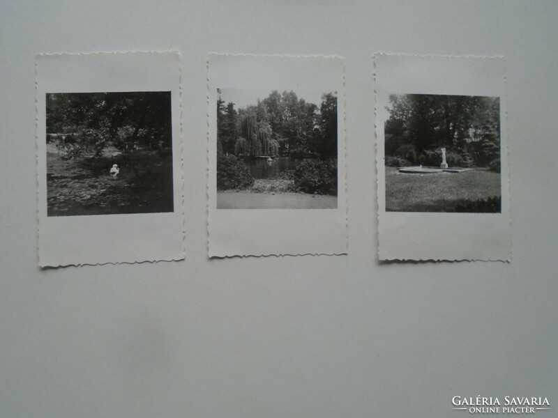 D201148 - old photos - miskolc- tapolca 3 pcs. 1958