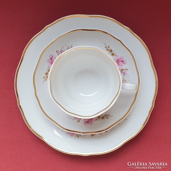 Triptis German porcelain breakfast coffee tea set cup saucer small plate with flower pattern