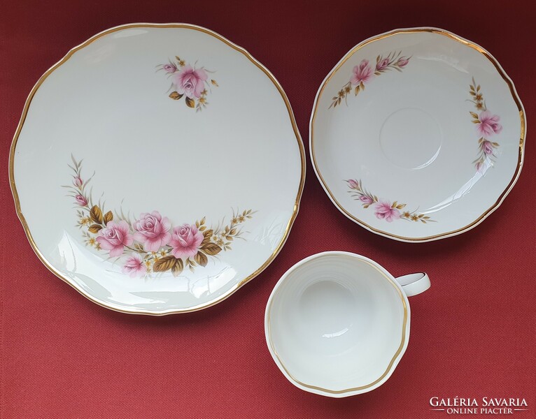 Triptis German porcelain breakfast coffee tea set cup saucer small plate with flower pattern