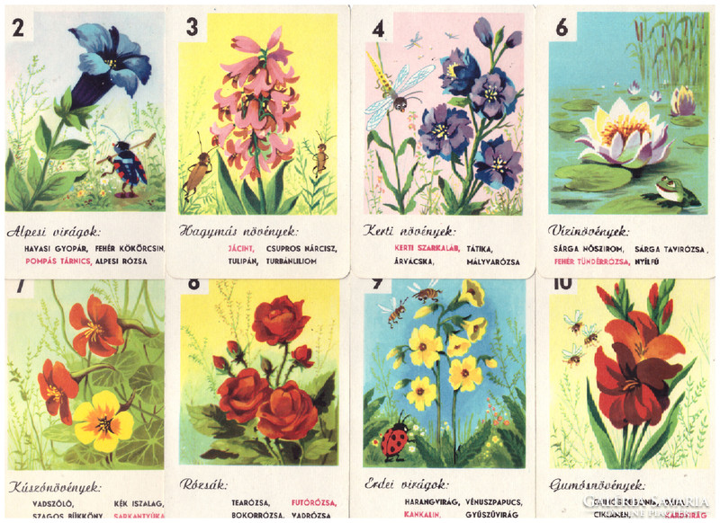 317. Mezei virágok kvartett Játékkártyagyár 1970 körül 38 lap