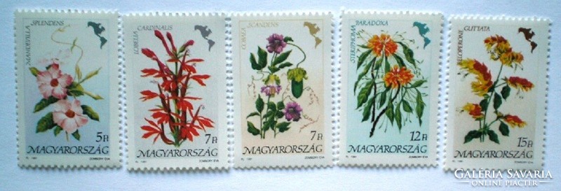 S4077-81 / 1991 Földrészek virágai II. - Amerika bélyeg postatiszta