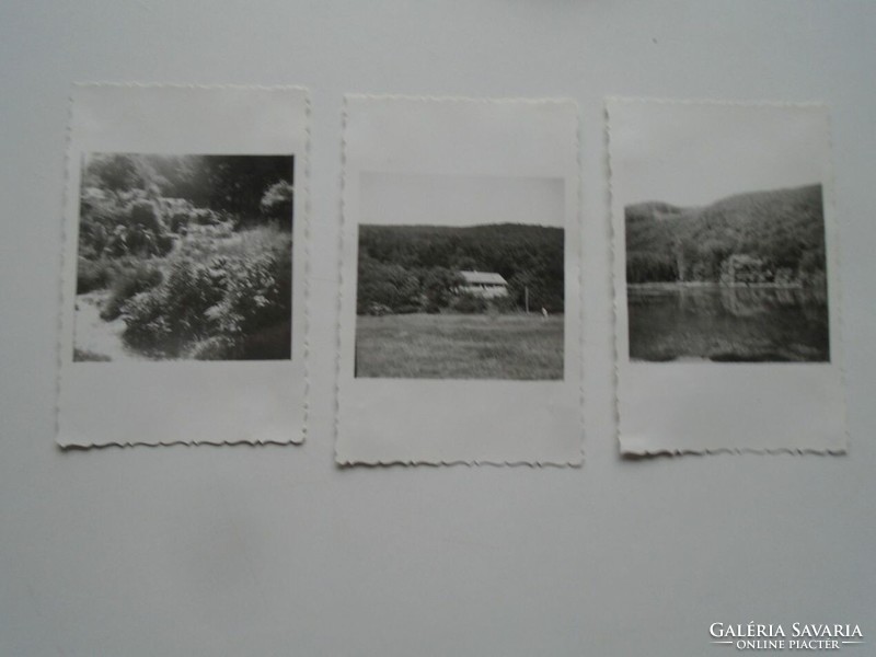 D201149 - old photos - Salajka Valley 3 pcs. 1958