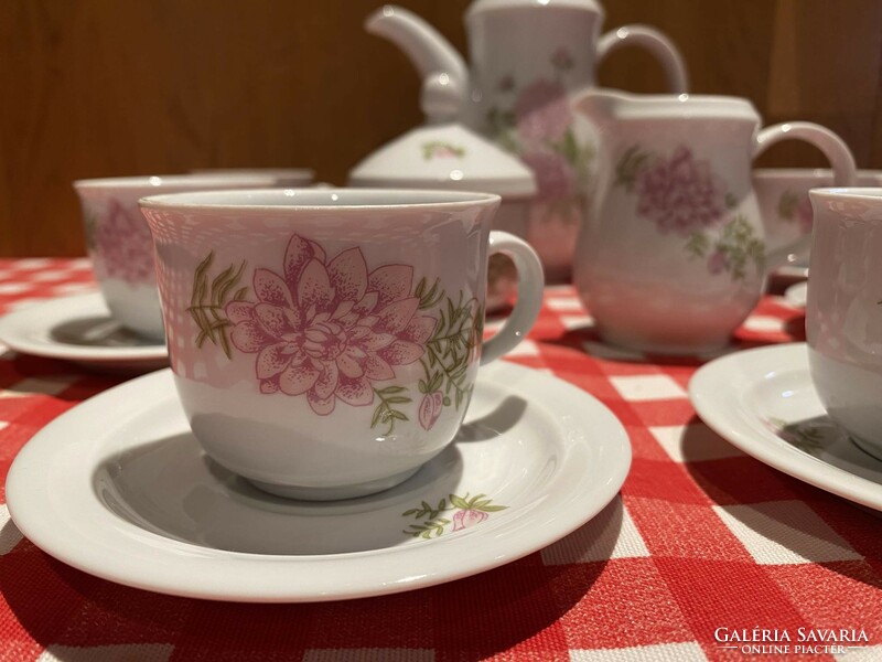Fine-looking floral kahla porcelain mocha coffee complete set